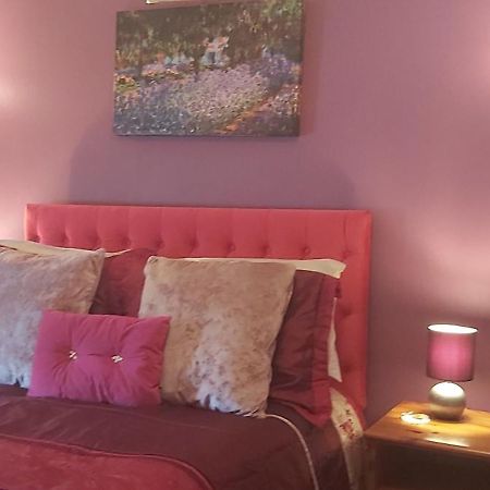 Cranborne Guest Accommodation Exclusively For Adults トーキー エクステリア 写真