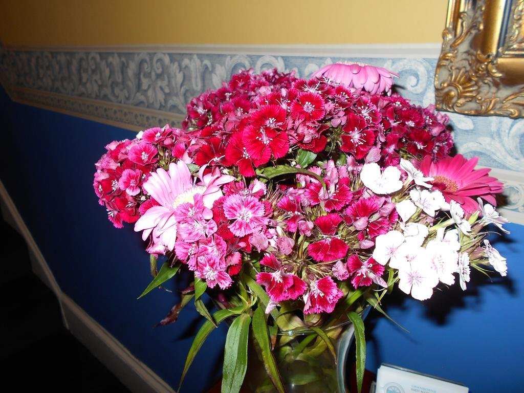 Cranborne Guest Accommodation Exclusively For Adults トーキー エクステリア 写真